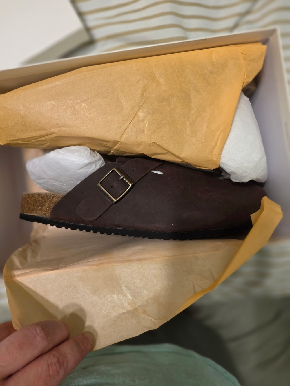 Quince Dark Brown Suede Buckle Clog Slip-On